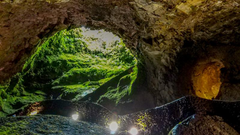 103-algar-do-carvao-4